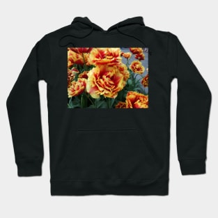 Morning roar to the sun Hoodie